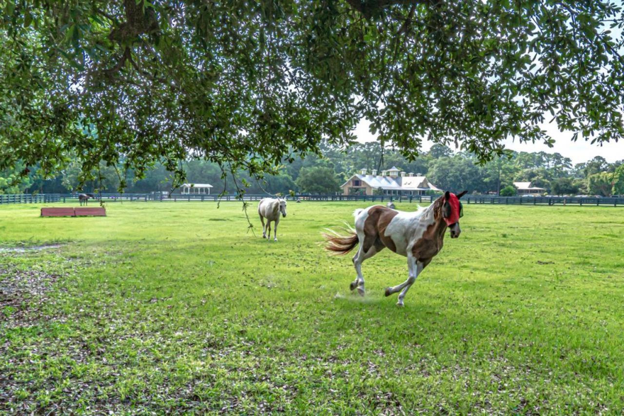 Pet Friendly! 503 Plantation Club Walk To Pool Sleeps 6 Sea Pines Villa Hilton Head Island Bagian luar foto